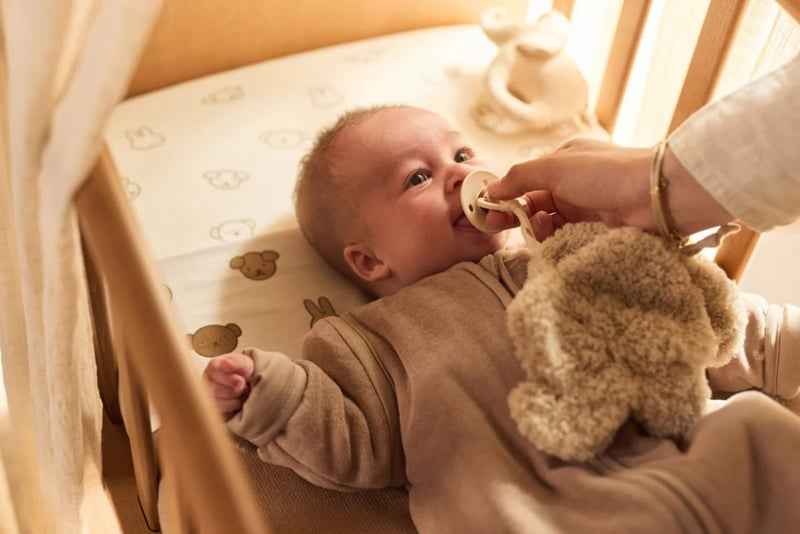 Speendoekje - Elephant