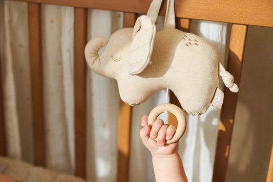 Muziekhanger - Elephant