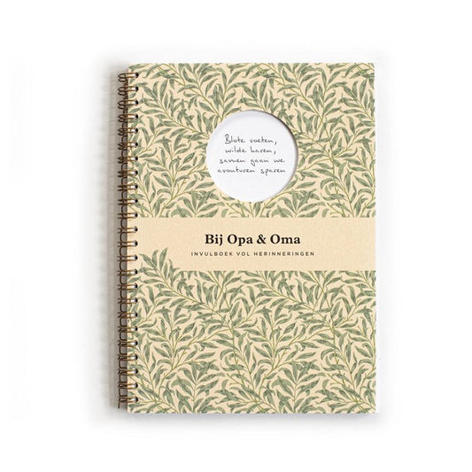 Invulboek - Bij opa en oma