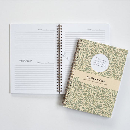 Invulboek - Bij opa en oma