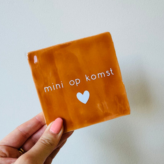 Tegel - Mini op komst