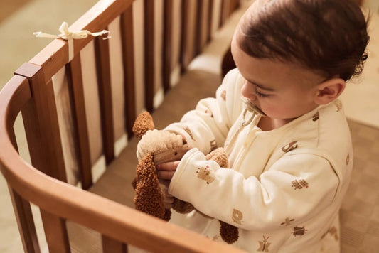 Speendoekje - Animal Friends