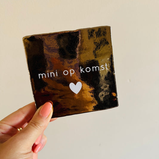 Tegel - Mini op komst